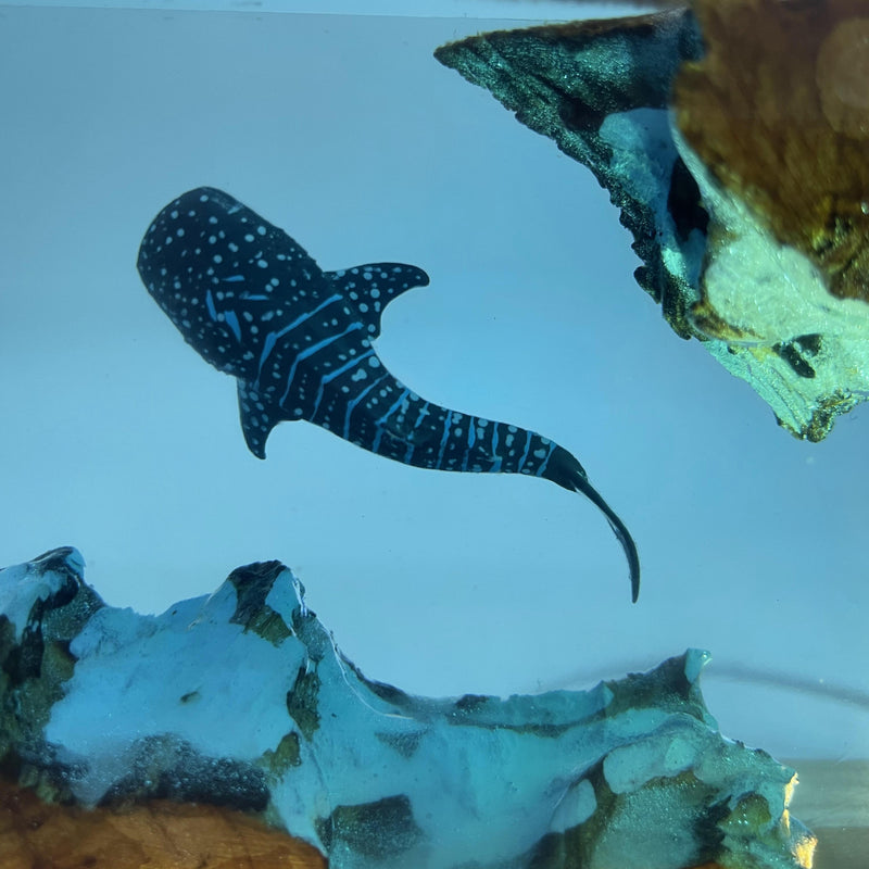 Luminária de Baleia em Resina Decoração Artesanal