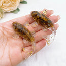 Decoração Peixe Koi Cristalino