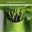 Feltro Plantas Vertical