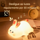 Luminária de LED Colorida - Bichinhos de Silicone